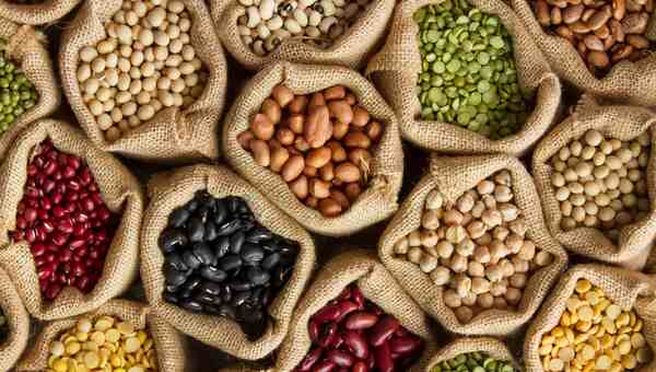 How to Incorporate Plant-Based Proteins into Your Diet