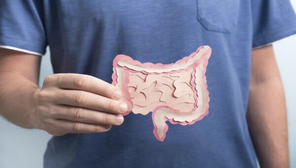 How to Support Your Digestive Health: Foods and Habits for a Happy Gut