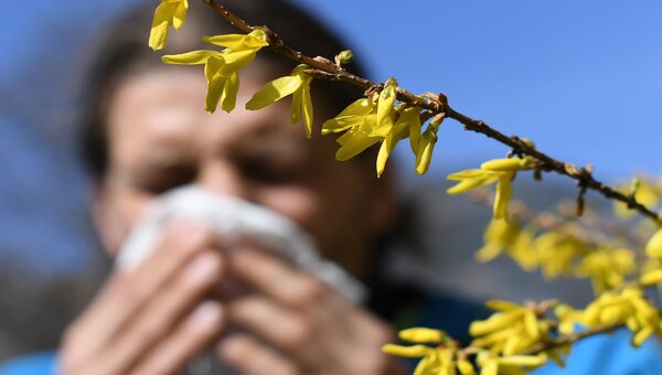 How to Boost Your Immune System During Allergy Season