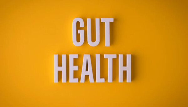 How to Support Your Gut Health with Prebiotics