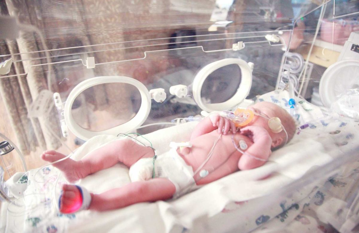 Plastic-Contaminated Foods Linked to Increased Premature Births Risk